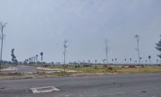 Dự án bỏ hoang tại huyện Mê Linh. Ảnh minh họa