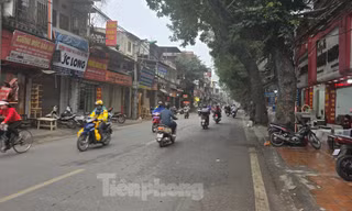 Di chuyển, chặt hạ gần 100 cây xanh để mở đường Vành đai 1