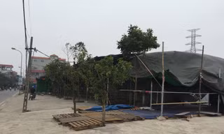 Hà Nội: Lấn chiếm đất nông nghiệp dựng lều bán hàng