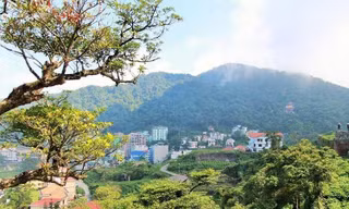 Ảnh minh họa