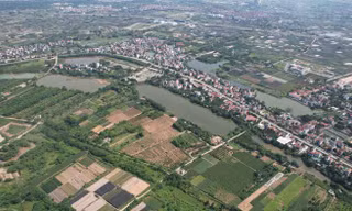 Trúng đấu giá 4,2 tỷ đồng/m2 xin rút cọc vì 'ghi nhầm', huyện Mê Linh nói gì?