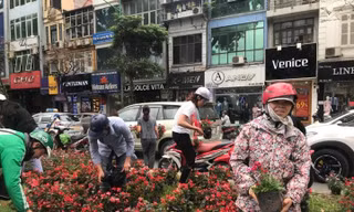 Xấu xí hình ảnh người dân 'hôi' hoa trang trí trên đường Kim Mã