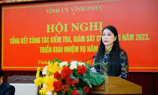 Vĩnh Phúc thi hành kỷ luật 4 tổ chức Đảng và 192 đảng viên trong một năm