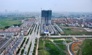 Ảnh minh họa