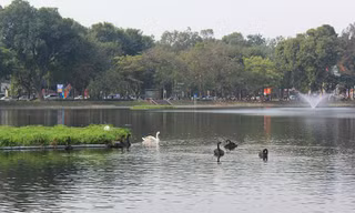 Hồ Thiền Quang tại quận Hai Bà Trưng