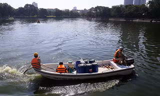 Làm sạch nước hồ tại Hà Nội