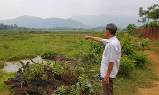 Khu đất rộng 18,5 ha được giao cho chị gái Giám đốc Sở KH-ĐT. Ảnh: Hiểu Minh