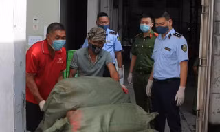 Lực lượng chức năng đưa 7 tấn nội tạng đi tiêu hủy