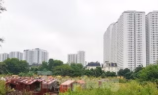 Hà Nội: 15 dự án khu đô thị 'bỏ quên' vườn hoa, trường học