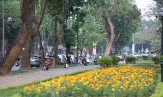 Không gian đi bộ hồ Thiền Quang mặt phố Trần Nhân Tông