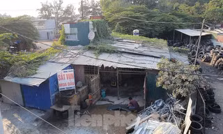 Chủ tịch Hà Nội yêu cầu làm rõ thông tin bảo kê nhà xưởng trái phép ở Hà Đông