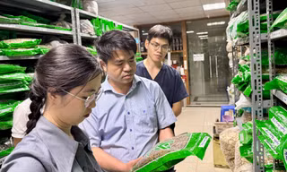 Bộ Y tế thành lập 15 tổ kiểm tra thuốc, mĩ phẩm, thực phẩm chức năng
