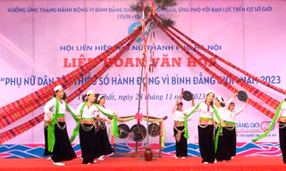 Phụ nữ dân tộc thiểu số hành động vì bình đẳng giới