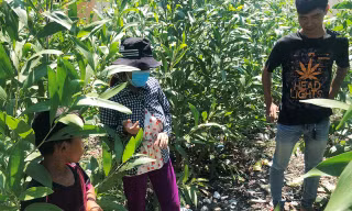 Vị trí chị Trúc phát hiện bé trai sơ sinh bị vùi trong đất và cùng người thân nhanh chóng cứu sống đứa bé.
