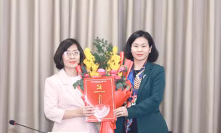 Điều động, luân chuyển, bổ nhiệm cán bộ chủ chốt ở Hà Nội và 11 tỉnh