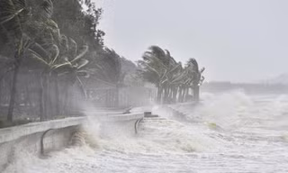 Bão số 2 cách đất liền Hải Phòng, Nghệ An 130km, gió giật cấp 10