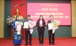Ban Bí thư Trung ương Đảng chỉ định, chuẩn y nhân sự 3 tỉnh