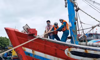Bão số 6 suy yếu thành áp thấp nhiệt đới khi vào đất liền