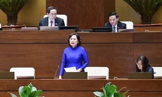 Thống đốc Nguyễn Thị Hồng: 'Nợ xấu đang có xu hướng gia tăng'