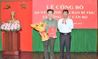Ban Bí thư Trung ương Đảng chỉ định, chuẩn y nhân sự ở 8 tỉnh 