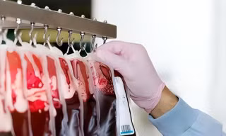 Thủ tướng Anh Sunak cúi đầu xin lỗi quốc dân
