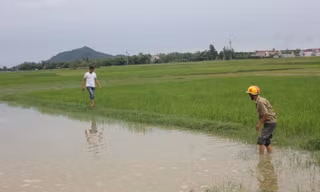 Hiện trường vụ hai anh em Quân và Phương chết đuối sáng nay. 