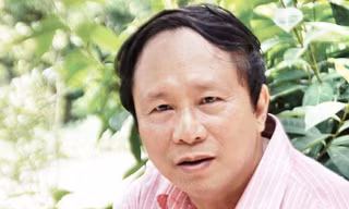 Văn hóa từ chức