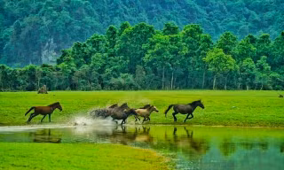 Vẻ đẹp hoang sơ, độc đáo của thảo nguyên giữa vùng núi đá