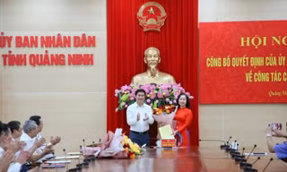 Bản tin 8H: Điều động, bổ nhiệm nhân sự mới ở tỉnh Quảng Ninh