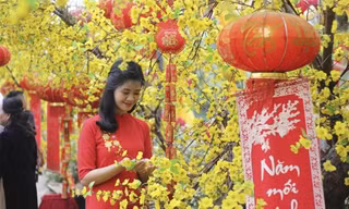 Bản tin 8H: Trình phương án nghỉ Tết Nguyên đán 7 ngày
