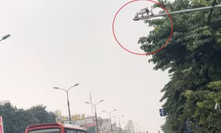 'Vũ khí công nghệ' giúp dẹp loạn xe khách vi phạm