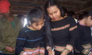 Lá phiếu và kỳ vọng