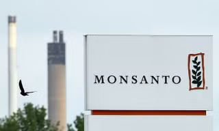 Monsanto phải có trách nhiệm giải quyết hậu quả chất độc da cam ở Việt Nam