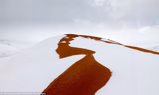 Trẻ em thích thú trượt tuyết trên... sa mạc Sahara
