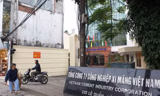 Vicem thua lỗ do khách quan? Ảnh: Như Ý