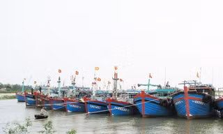 Ảnh minh họa