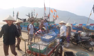 Sau khi có kết quả quan trắc, xét nghiệm cụ thể của các cơ quan chức năng, các cảng cá trên địa bàn Hà Tĩnh nhộn nhịp trở lại, người dân yên tâm bám biển. 