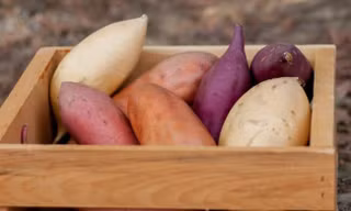 Ảnh minh họa: Internet