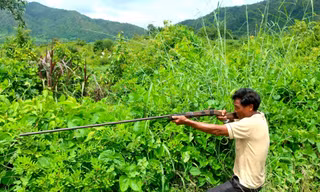 Đi săn thú rừng, người đàn ông bắn chết người trong lùm cây
