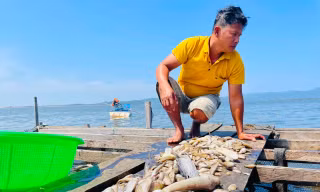 Cá chết trắng sau một đêm ở hồ thủy lợi Ia Mơr