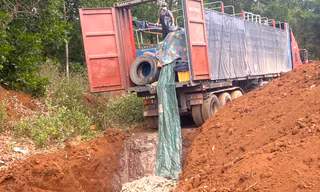 Chôn lấp 5,5 tấn cá tầm vận chuyển trái phép qua biên giới
