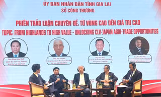Gia Lai kết nối giao thương với doanh nghiệp nước ngoài