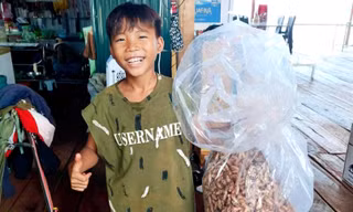 Người dân Tây Nguyên vào rừng, đào vườn rẫy tìm nhặt xác ve sầu