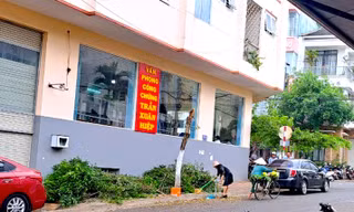 Làm rõ việc cựu giám đốc Sở Tư pháp tỉnh Gia Lai tự ý cắt ngọn cây trên vỉa hè