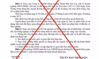 Xác minh quyết định giao 392ha đất trồng rừng có dấu hiệu giả mạo