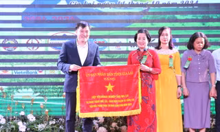 Hiệp hội Doanh nghiệp tỉnh Gia Lai là 'điểm tựa' cho doanh nghiệp, doanh nhân