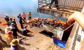 Thủng lỗ trên thân đập thủy lợi ở Gia Lai, khẩn trương sơ tán người dân