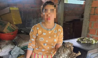 Bị khởi tố vì cất rắn hổ mang chúa, chồn bay trong tủ lạnh