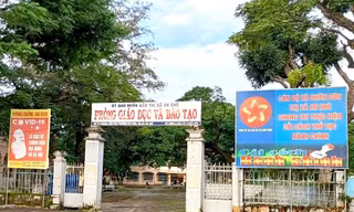 Xem xét trách nhiệm 61 cá nhân liên quan sai phạm ở Gia Lai