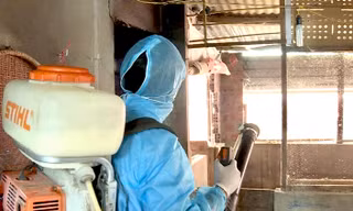 Nữ bệnh nhân 42 tuổi ở Gia Lai tử vong do sốt xuất huyết 